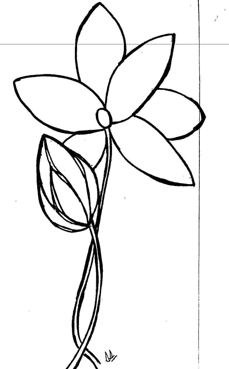 Metamorphosis Coaching and Consulting